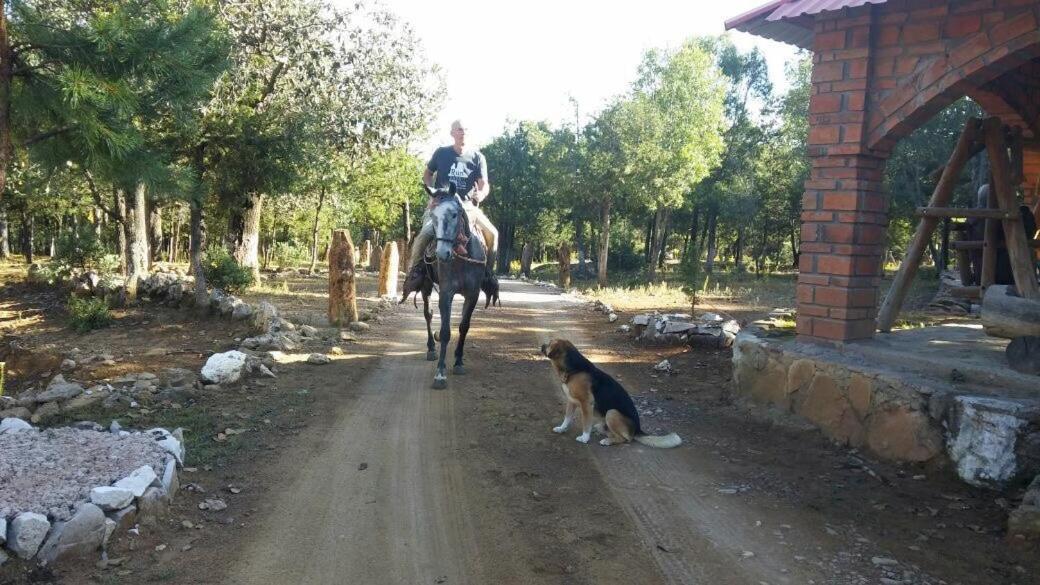 Rancho Cabanas San Isidro Cerocahui Bagian luar foto